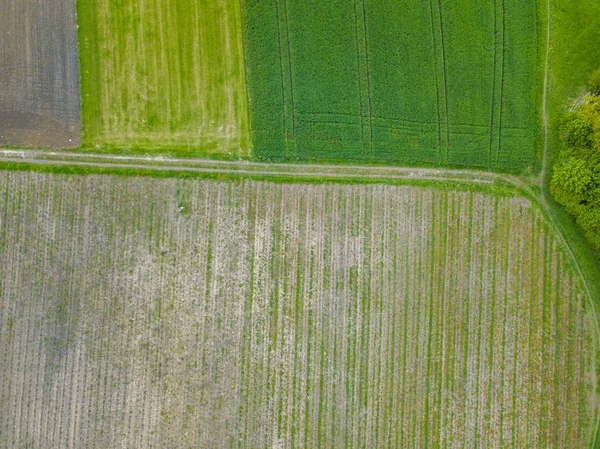 Vue Aérienne Des Champs Agricoles — Photo