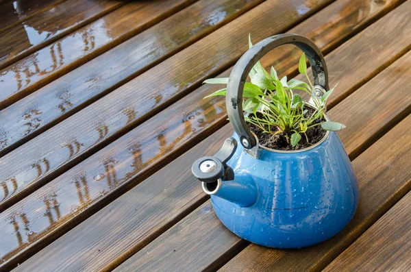 Gemütliche Holzpalettencouch Auf Balkon — Stockfoto © oiramn #376999878