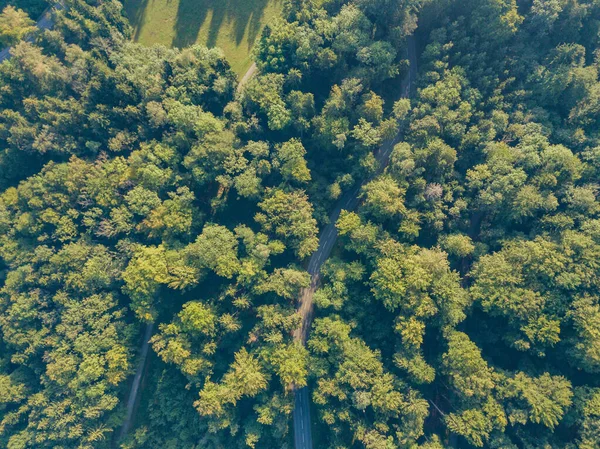 Letecký Pohled Cestu Lesem Švýcarsku — Stock fotografie