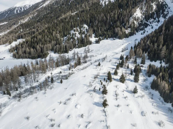 积雪覆盖的冬季景观中冷杉树的空中景观 — 图库照片