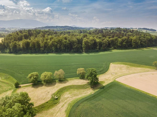 Aerial View Forest Rural Landscape Switzerland — Stock Photo, Image