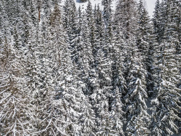 Vista Aérea Vale Remoto Alpes Suíços Com Abetos Cobertos Neve — Fotografia de Stock