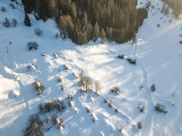 Flygfoto Snötäckta Fält Med Buskar Schweiz — Stockfoto