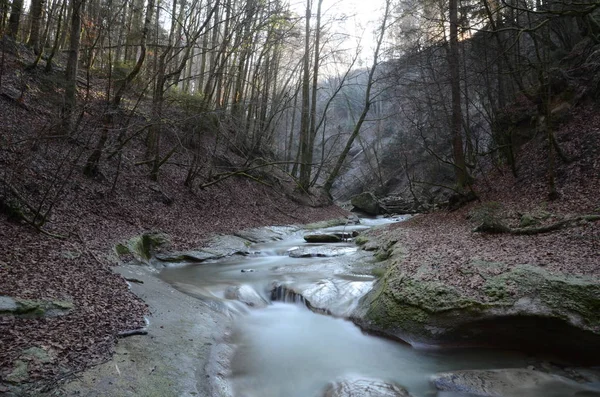 Fließender Fluss Wald Lange Belichtungszeit — Stockfoto