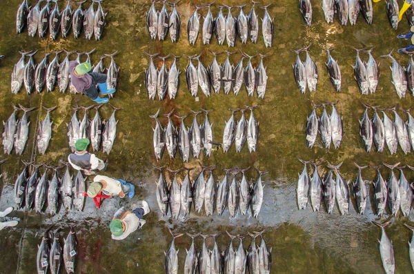 Vedere Generală Piața Japoneză Pește Ton — Fotografie, imagine de stoc