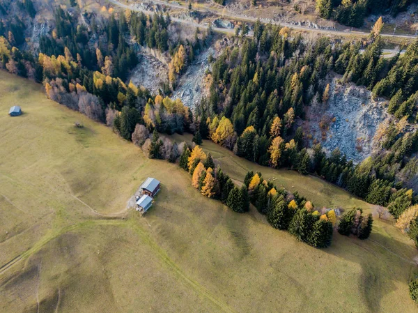 Vista Aérea Bosque Área Abierta Suiza Desde Arriba Paisaje Tranquilo — Foto de Stock