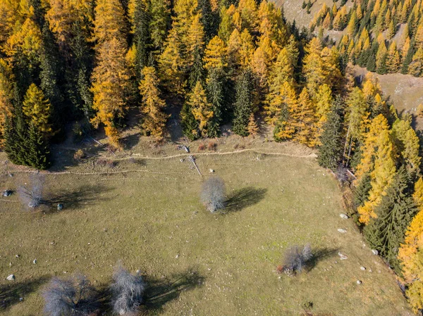 Vista Aérea Floresta Área Aberta Suíça Partir Cima Campo Calmo — Fotografia de Stock