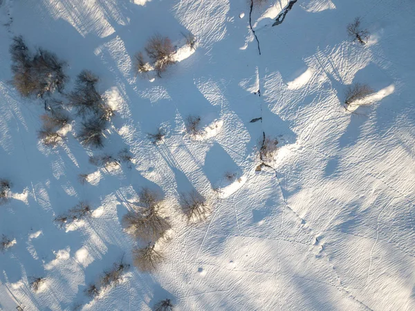 Aerial View Snow Covered Fields Bushes Switzerland — 스톡 사진