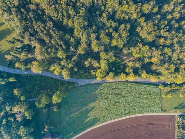 Вид Воздуха Дорогу Через Лес Швейцарии — стоковое фото