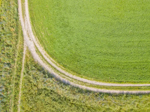 Εναέρια Άποψη Του Δρόμου Κατά Μήκος Δύο Γεωργικών Αγρών Καλοκαίρι — Φωτογραφία Αρχείου