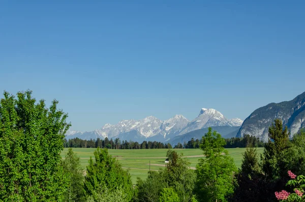 View Snowy Mountains Green Trees Foreground — Stock Photo, Image