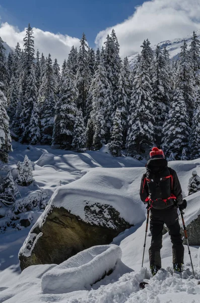 Hiker Snowshoes Snowy Winter Mountains Images De Stock Libres De Droits