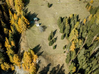 Yukarıdan, İsviçre 'deki ormanın ve açık alanın havadan görüntüsü. Sakin kırsal.