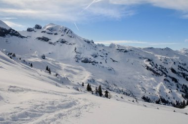 Nehir kıyısının havadan görünüşü ormanı sakin bir manzarayla kapladı.