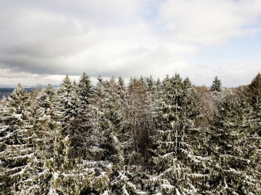 Kardaki köknar ağaçlarının hava manzarası kışı kaplamıştı.