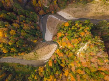 İsviçre 'deki uzak ve vahşi nehir hissinin havadan görünüşü. Ormanda güzel sonbahar renkleri. Doğadaki vahşi yaşam kavramı.