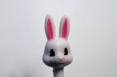 Arka planda tavşan ifadesi, kapat