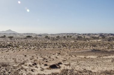 Umman 'daki güzel çalılık arazisi.