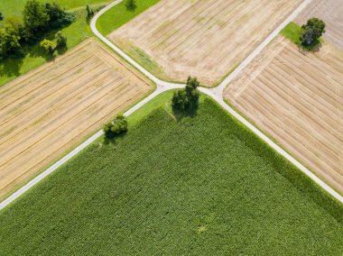 Tarlalardan geçen yolun havadan görüntüsü