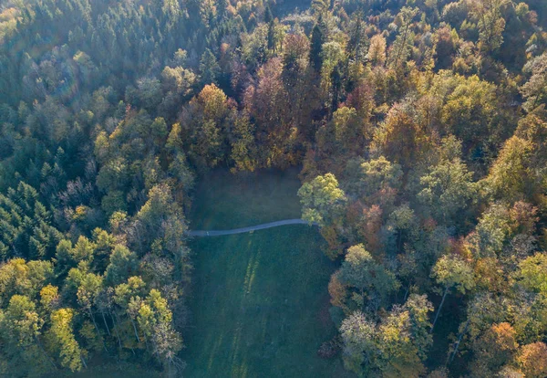 Vista Aérea Estrada Através Floresta Suíça — Fotografia de Stock