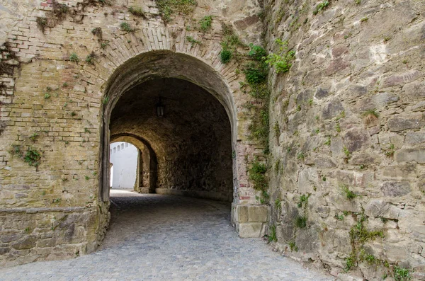 德国有防卫厅隧道的大门 — 图库照片