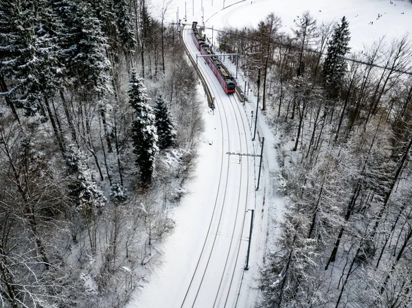 Vista Aérea Ferrovia Através Floresta Inverno Com Árvores Cobertas Neve — Fotografia de Stock
