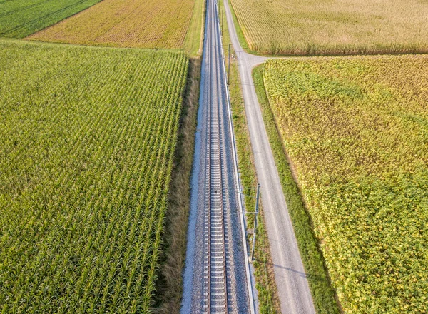 Flygfoto Över Raka Järnvägsspår Genom Jordbruksmark — Gratis stockfoto