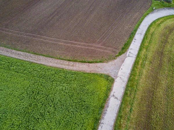 Aerial View Road Two Agricultural Fields Summer — 스톡 사진