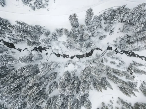 穏やかな風景の中で川の徹底的な雪に覆われた森の空中ビュー — ストック写真