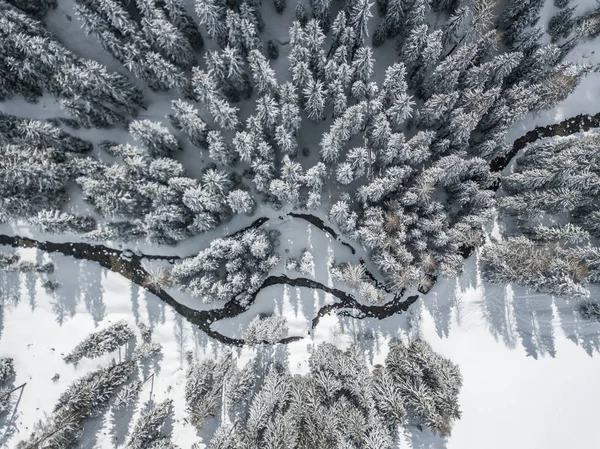 Veduta Aerea Del Fiume Attraverso Foresta Coperta Neve Scena Calma — Foto Stock