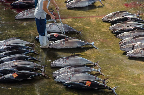 Vista Aérea Del Mercado Japonés Pescado Con Atún — Foto de Stock