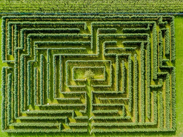 Green Bushes Circular Labyrinth Hedge Maze — Stock Photo, Image