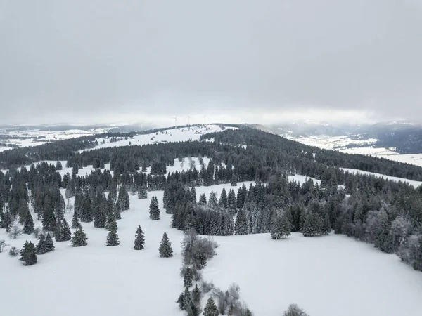 Вид Повітря Ялинки Сніжному Покритому Зимовим Пейзажем — стокове фото