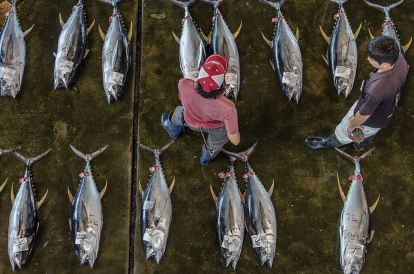 Bovenaanzicht Japanse Vismarkt Met Tonijn — Stockfoto