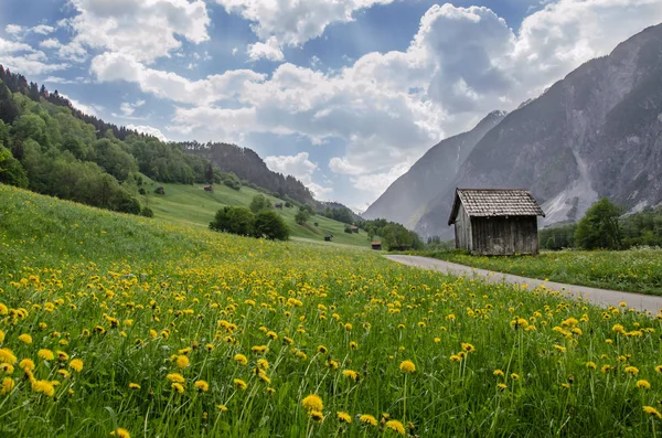 背景に山のある黄色いタンポポの花のフィールド  — 無料ストックフォト