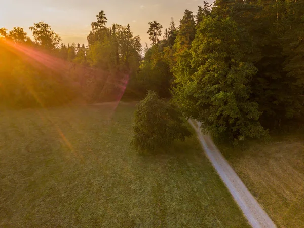 Aerial View Path Leading Forest Sunset Sun Rays Image Forest — Stok Foto