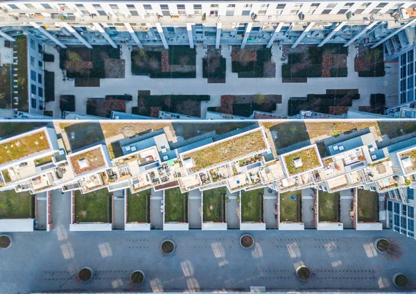 Aerial view of rooftop garden in urban residential area