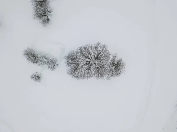 Letecký Pohled Řeku Thorugh Zasněžený Les Klidné Scéně — Stock fotografie