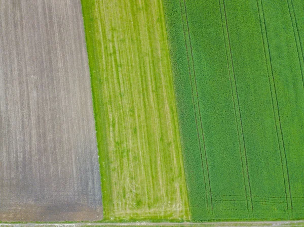 Αεροφωτογραφία Των Πεδίων Των Καλλιεργειών — Φωτογραφία Αρχείου