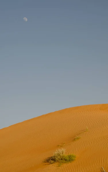 Dunas Arena Con Patrón Viento Desierto Wahiba —  Fotos de Stock