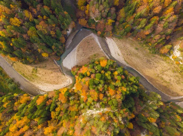 Flygfoto Över Avlägsna Och Vilda Floden Sense Schweiz Vackra Höstfärger — Stockfoto