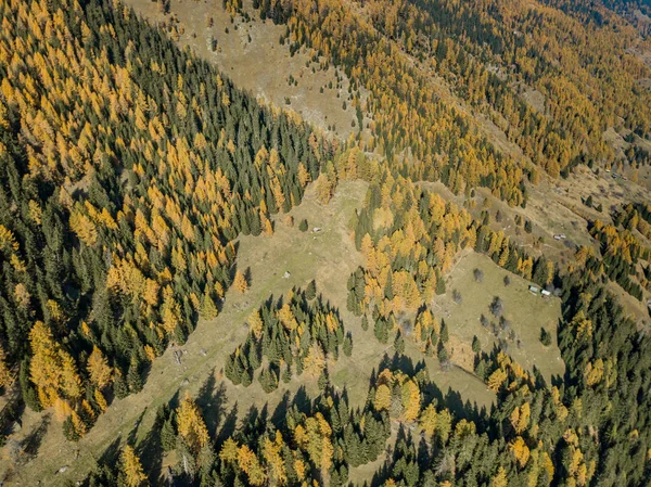 Vista Aérea Estrada Floresta Nas Montanhas Suíças — Fotografia de Stock