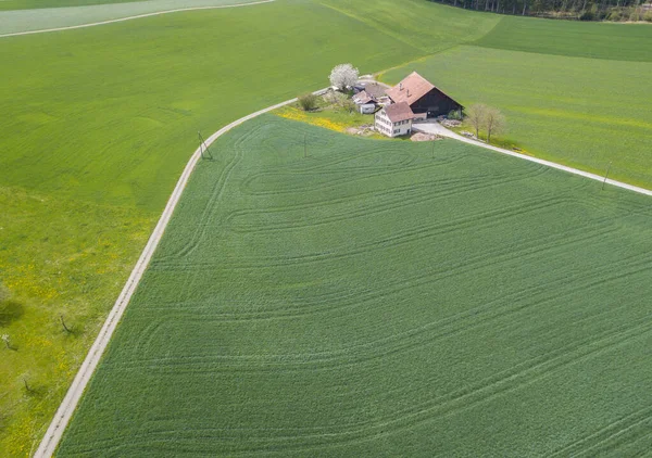Kırsal Alandaki Uzak Alandaki Çiftlik Evinin Havadan Görünüşü — Stok fotoğraf