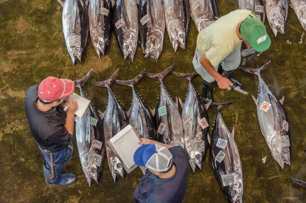 Vue Aérienne Sur Marché Japonais Poisson Thon — Photo