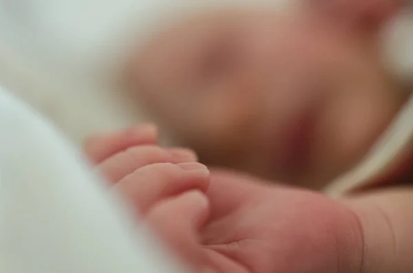 Small Hand Newborn Baby Infant Fingers Palm — Stock Photo, Image