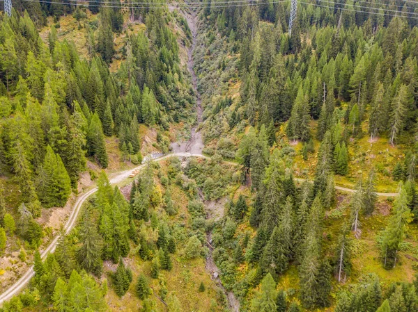 Pandangan Udara Terhadap Panorama Hutan Pedesaan — Stok Foto
