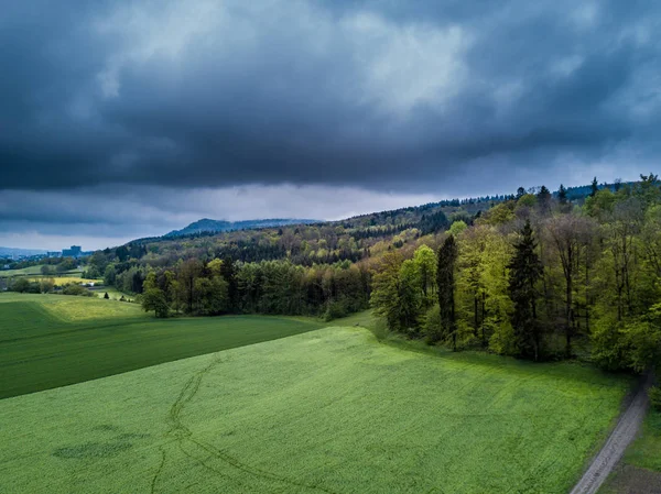 Vista Aérea Bosque Área Abierta Suiza Desde Arriba Paisaje Tranquilo — Foto de Stock