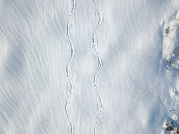 Aerial View Ski Tracks Snow Backcountry Skiing Powder — 스톡 사진