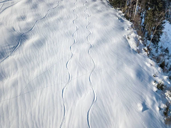 Aerial View Ski Tracks Snow Backcountry Skiing Powder — 스톡 사진