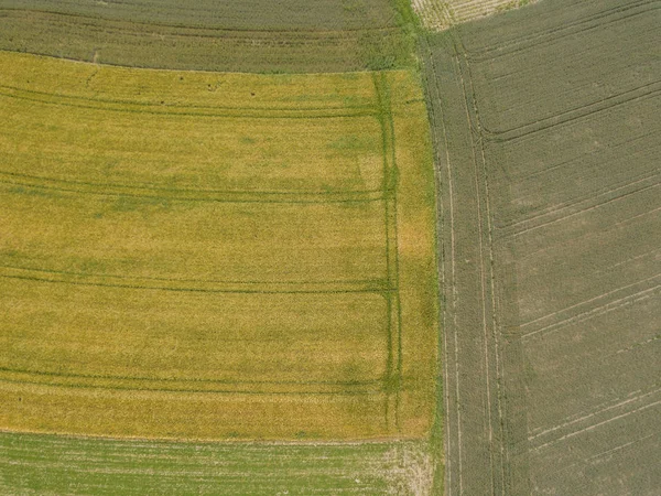 Aerial View Agricultural Fields Forest Background — Stock Photo, Image